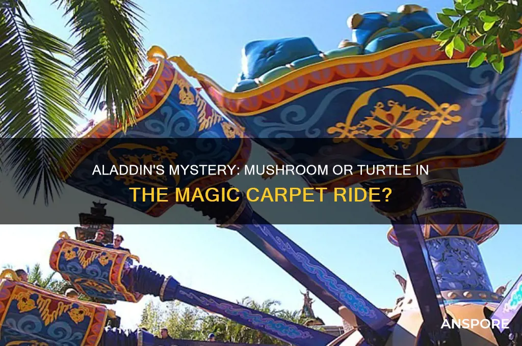 was a mushroom or turtle in aladdin