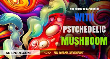 Overcoming Fear: My Journey into Psychedelic Mushroom Exploration