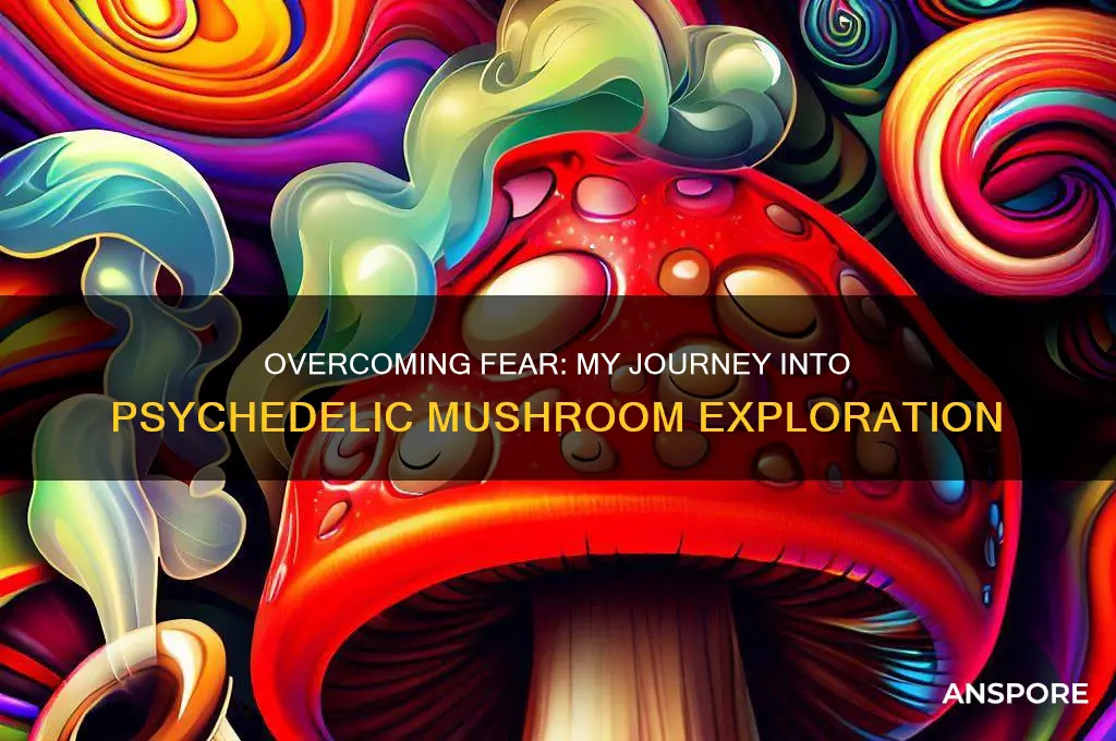 was afraid to experiment with psychedelic mushrooms