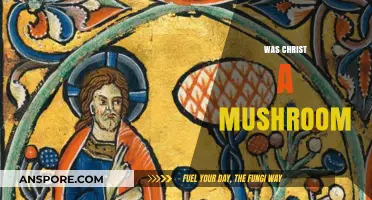 Christ, a Mushroom? Exploring Ancient Religious Symbolism