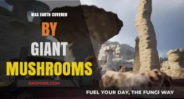 Giant Mushrooms: Did They Once Dominate Earth's Ancient Landscape?