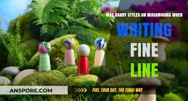 Fine Line's Psychedelic Origins: Harry Styles and Mushroom Speculations