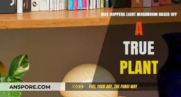 Was Hopper's Light Mushroom Inspired by a Real Fungus?