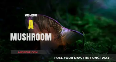 The Mushroom Jesus Theory: Myth or Reality?
