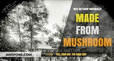 Mushroom Ketchup: The Surprising Origins of a Condiment Classic