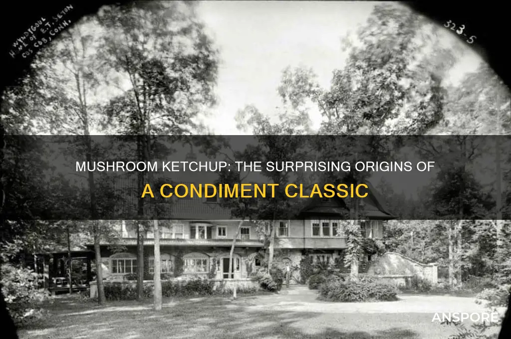 was ketchup originally made from mushrooms