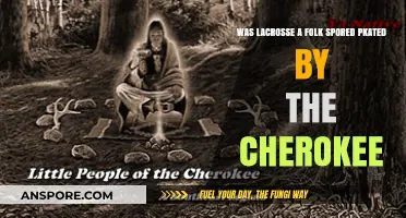 Lacrosse Origins: Cherokee Traditions and the Folk Sport Debate