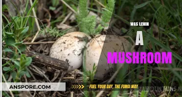 Lenin: A Mushroom or Not?