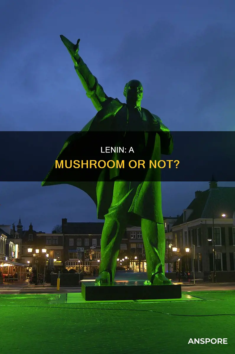was lenin a mushroom