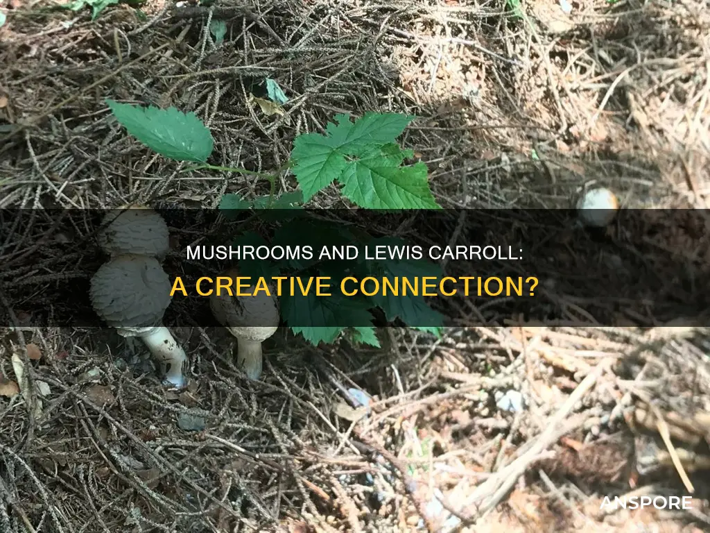 was lewis carroll on mushrooms