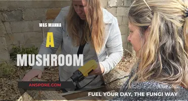 Manna's Mystery: Mushroom or Miracle?