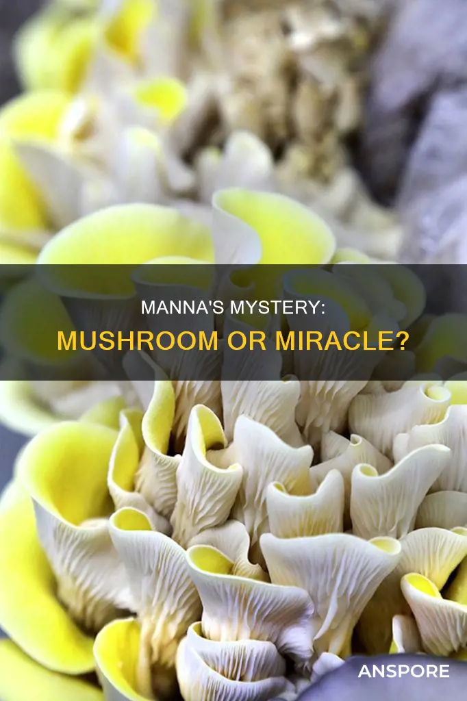 was manna a mushroom