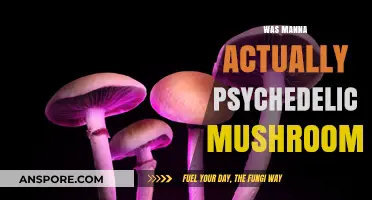 Psychedelic Mushrooms: The Biblical Manna Mystery