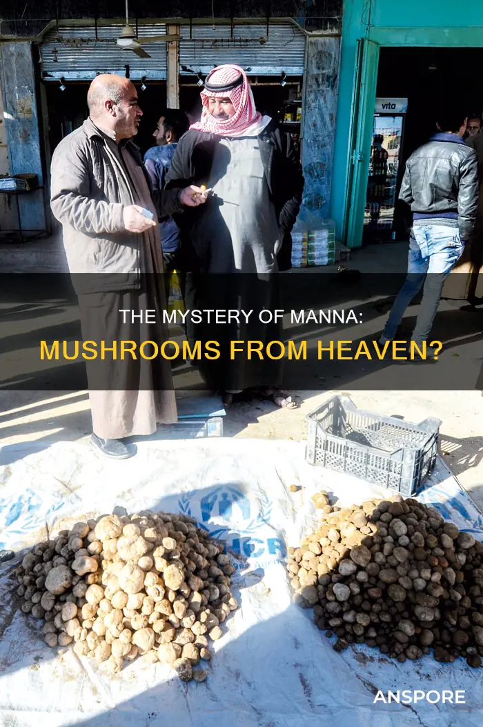 was manna from heaven mushrooms