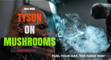 Mushroom-Fueled Mike Tyson: A Boxing Legend's Experience