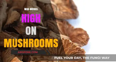 Mushrooms and Moses: A Biblical Trip?