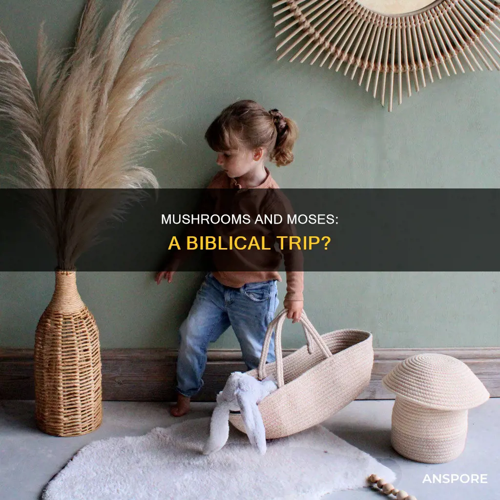 was moses high on mushrooms