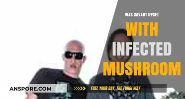 Savant's Frustration: The Infected Mushroom Collaboration Controversy Explained