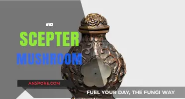 Mysterious Was Scepters: Mushroom Power