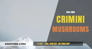 Crimini Mushrooms: What Are They?