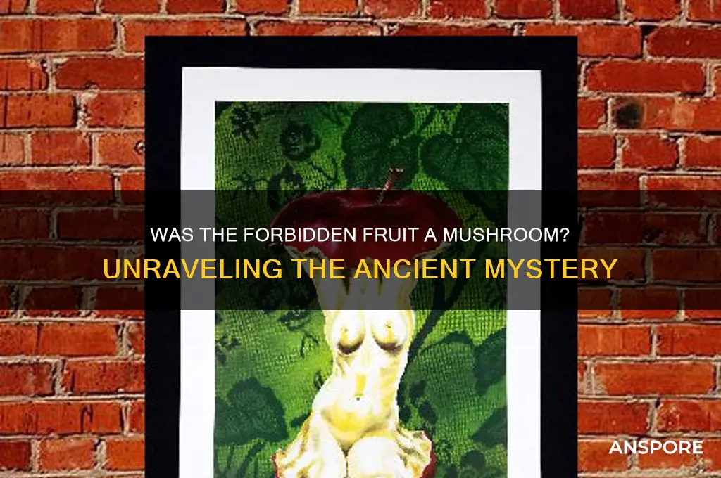 was the forbidden fruit a mushroom