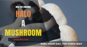 Was the Original Halo a Mushroom? Unraveling the Ancient Mystery