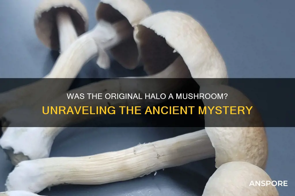 was the original halo a mushroom