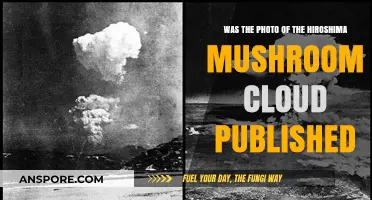 Was the Hiroshima Mushroom Cloud Photo Published? Uncovering the Truth