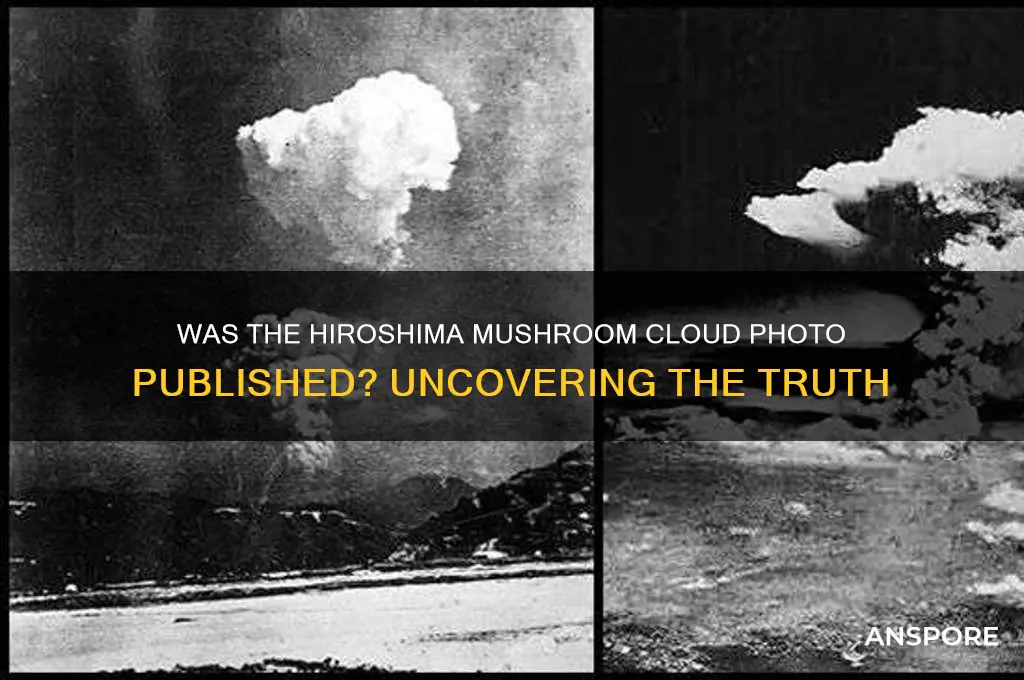 was the photo of the hiroshima mushroom cloud published