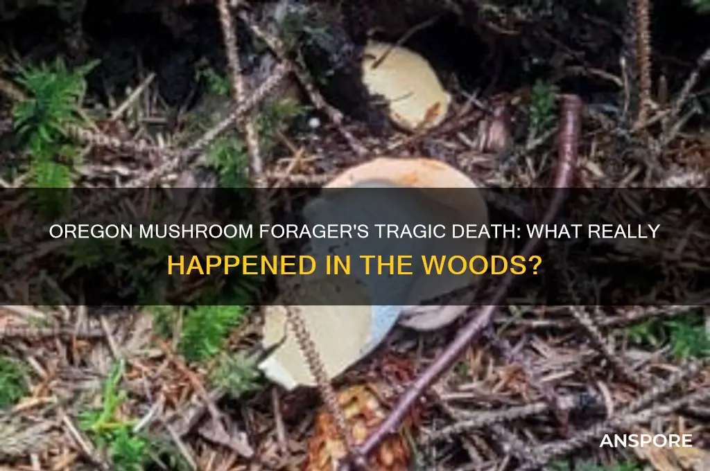 was the woman in oregon searching for mushrooms die