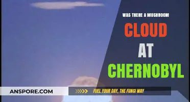 Chernobyl's Mushroom Cloud Myth: Unraveling the Nuclear Disaster's Visual Legacy