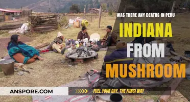 Peru, Indiana Mushroom Deaths: Uncovering the Truth Behind the Rumors