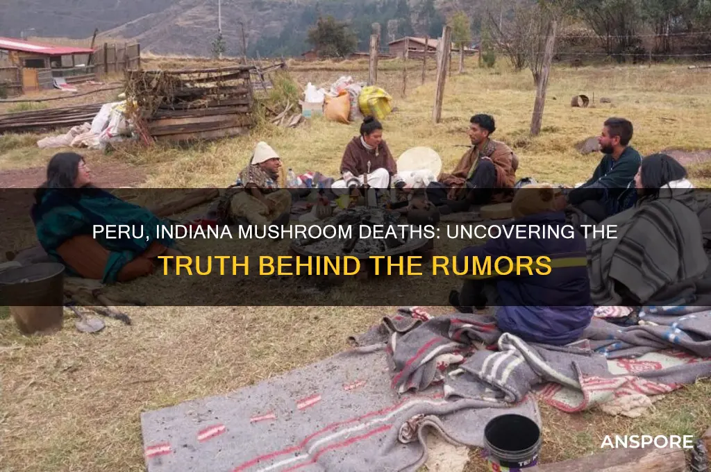 was there any deaths in peru indiana from mushrooms