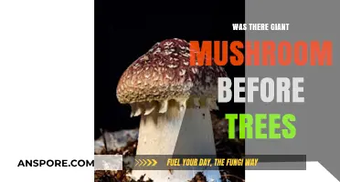 Ancient Earth's Mystery: Did Giant Mushrooms Precede Trees in Dominance?