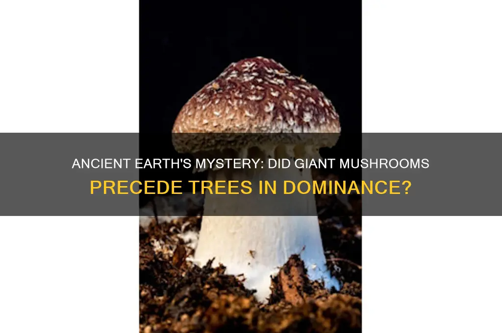 was there giant mushrooms before trees