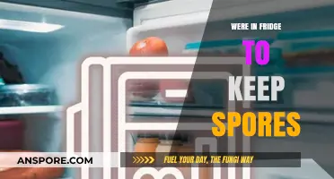Why We Store Spore-Rich Foods in the Fridge for Freshness