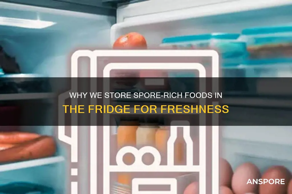 were in fridge to keep spores