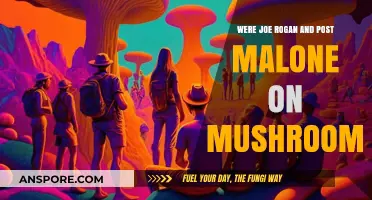 Joe Rogan and Post Malone's Mushroom Trip: Fact or Fiction?