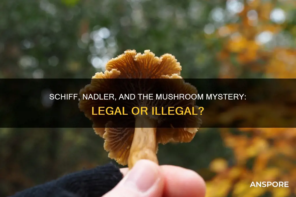were schiff and nadler part of the illegal are mushrooms