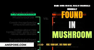 Mushroom Origins: Unveiling Mental Health Chemicals in Fungi