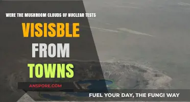 Nuclear Test Mushroom Clouds: Visible from Nearby Towns?
