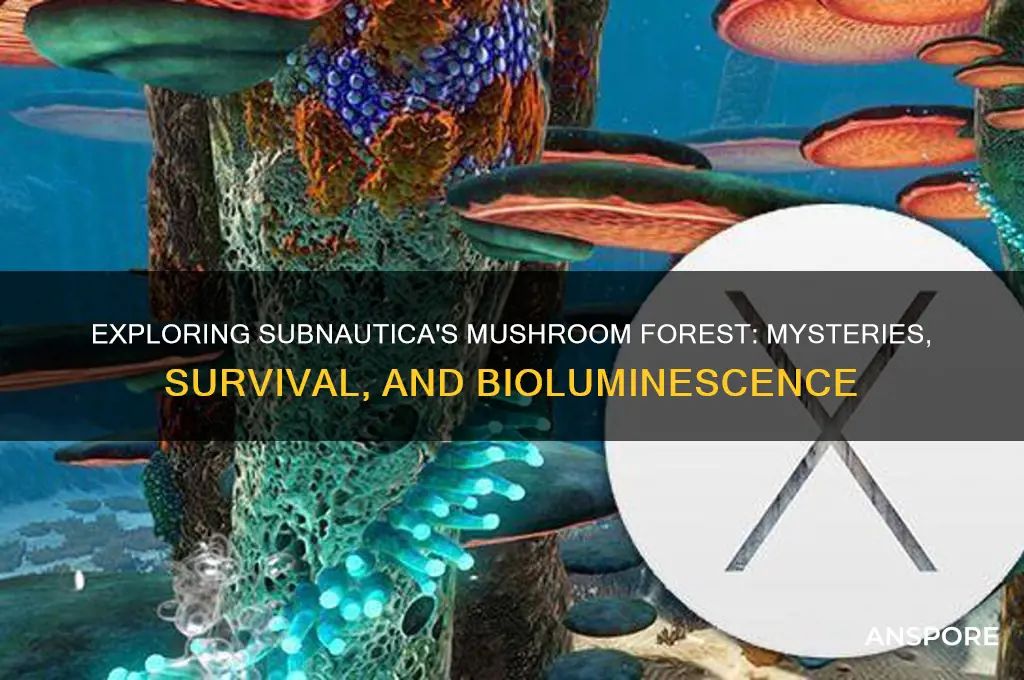 were the mushroom forest in subnatica