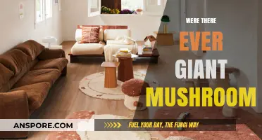 Giant Mushrooms: Myth or Reality?