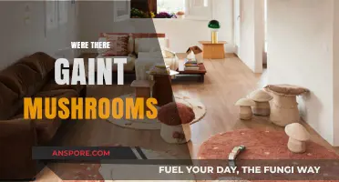 The Rise of Giant Mushrooms: A Historical Perspective