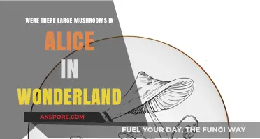 Exploring Alice in Wonderland: The Myth of Giant Mushrooms