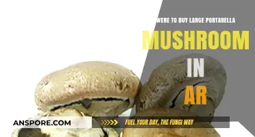 Where to Find Large Portabella Mushrooms in Arkansas: A Buyer's Guide