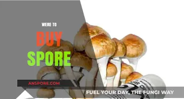 Where to Buy Spores: A Comprehensive Guide for Enthusiasts