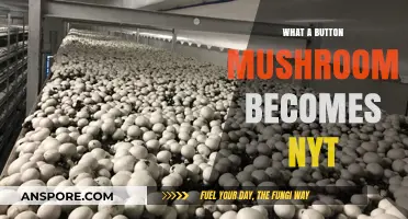 What a Button Mushroom Becomes: NYT Explores Culinary Transformations