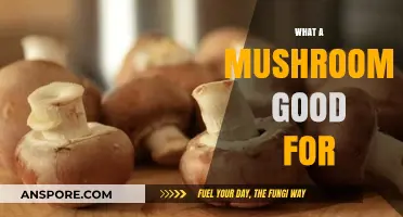 Mushrooms' Surprising Health Benefits: Nutrition, Immunity, and Beyond Explained