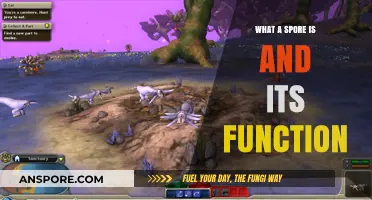 Understanding Spores: Tiny Survival Experts and Their Ecological Role